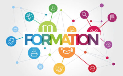 Formation sur la logique floue et ses applications