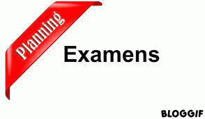 Plannings des examens de fin d’année universitaire 2023/2024 ( semestres pairs | Examens de rattrapage) de tous les niveaux