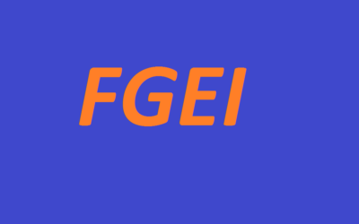 Présentation de la Faculté Génie Electrique et Informatique