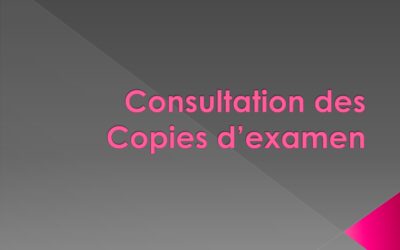 Consultations des copies d’examen de Physique 01 – L1 Info. (Sections E)