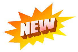 Opportunité de stage au Bureau International du Travail (BIT).