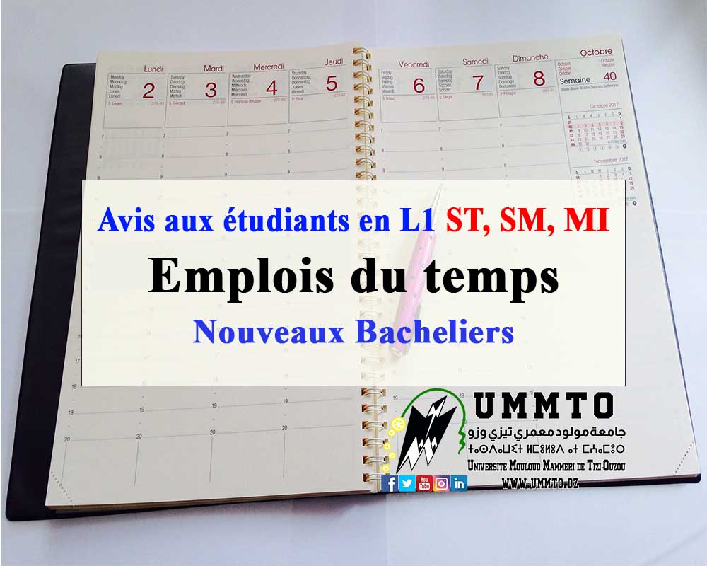 Harvard film and visual studies phd image