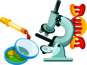 Offre de formation: Master en Physique médicale