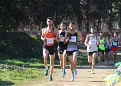 Cross3