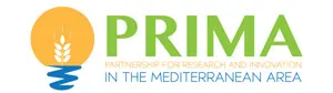 PRIMA PRIMA