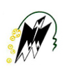 Logo_ Université Mouloud Mammeri de Tizi Ouzou