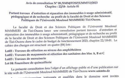 Avis de consultation N°08/SMM/FDSP/UMMTO/2023