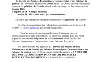 Avis de consultation N° 01/SMM/FSECSG/2025