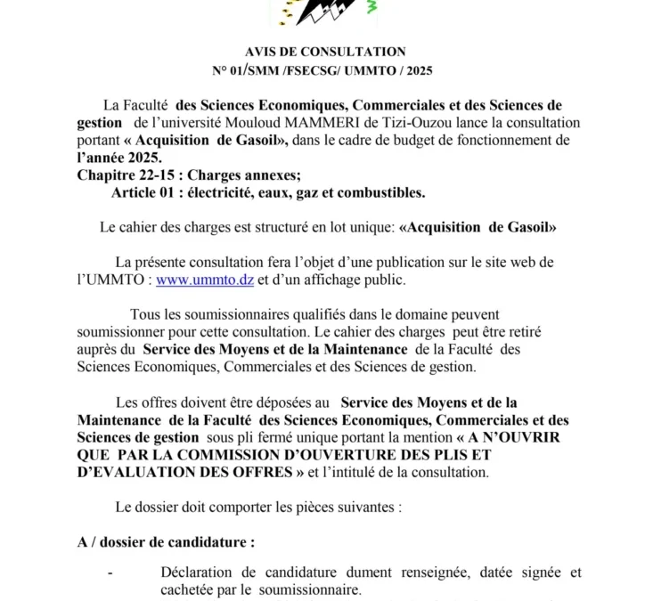 Avis de consultation N° 01/SMM/FSECSG/2025