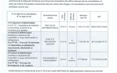 Avis d’attribution des consultations n°13bis et 16/FGC/UMMTO/2025