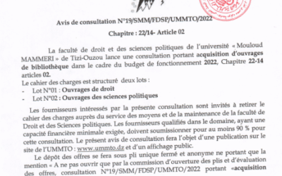 Avis de consultation N°19/SMM/FDSP/UMMTO/2022