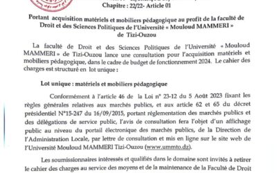 Avis de Consultation N°15/SMM/FDSP/UMMTO/2024