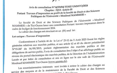 Avis de Consultation N°14/SMM/FDSP/UMMTO/2024