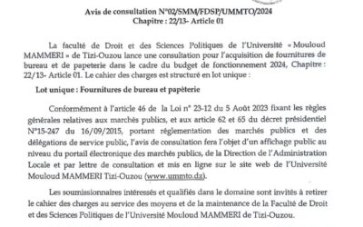 Avis de Consultation N° 02/SMM/FDSP/UMMTO/2024