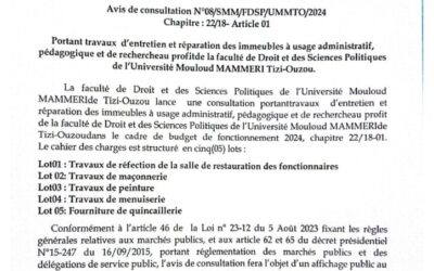 Avis de Consultation N°08/SMM/FDSP/UMMTO/2024