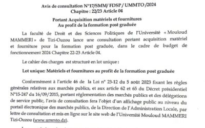 Avis de Consultation N°17/SMM/FDSP/UMMTO/2024