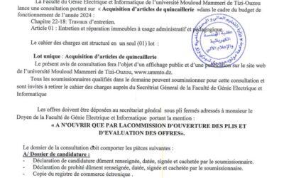 Avis de Consultation N°10/FGEI/UMMTO/2024
