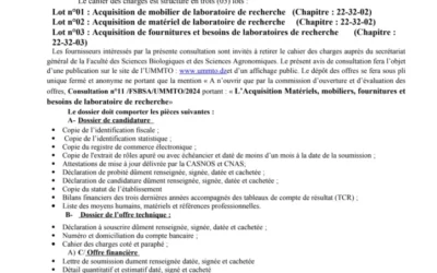 Avis de consultation N° 11/FSBSA/UMMTO /2024