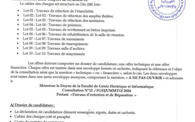 Avis de Consultation N° 12 /FGEI/UMMTO/2024