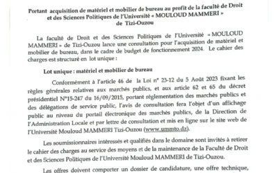 Avis de consultation N°22/SMM/FDSP/UMMTO/2024