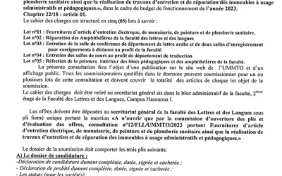 Avis de consultation n°12/FLL/UMMTO/2023
