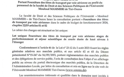 Avis de Consultation N°10/SMM/FDSP/UMMTO/2024