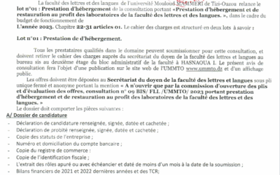 Avis de la consultation n°09 BIS/FLL/UMMTO/2023