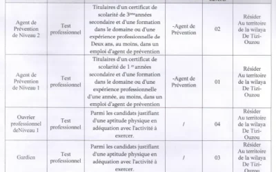 Avis de recrutement de personnels contractuels