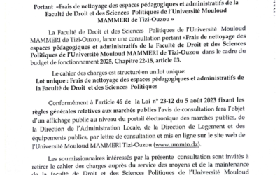 Avis de consultation N°29/SMM/FDSP/UMMTO/2024