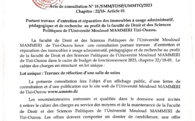 Avis de consultation N°18/SMM/FDSP/UMMTO/2023