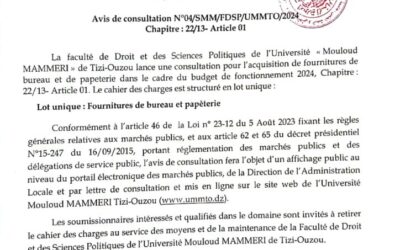 Avis de Consultation Nº04/SMM/FDSP/UMMTO/2024
