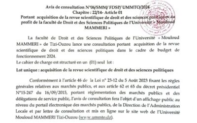 Avis de Consultation Nº06/SMM/FDSP/UMMTO/2024