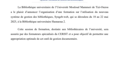 Formation Syngeb web