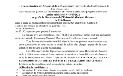 Avis de consultation N°31/SDMM/UMMTO/2024