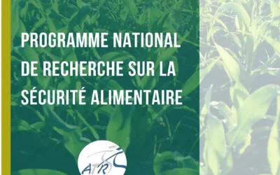 Programme national de recherche sur la sécurité alimentaire