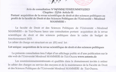 Avis de consultation N°04/SMM/FDSP/UMMTO/2023