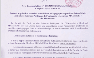 Avis de consultation N°13/SMM/FDSP/UMMTO/2023