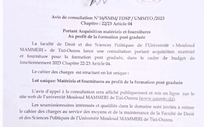 Avis de consultation N°16/SMM/FDSP/UMMTO/2023