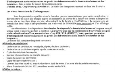 Avis de consultation N°09 TER/FLL/UMMTO/2023