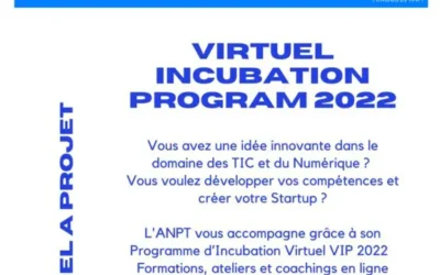 Virtual Incubation Program 2022
