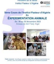 Institut Pasteur: offre de formation en expérimentation animale