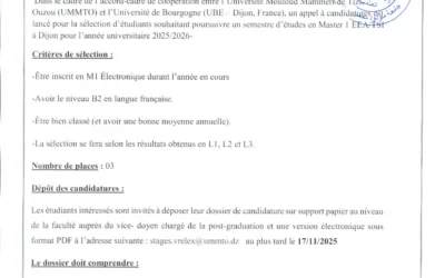 Appel à candidature au programme de mobilité master 1 EEA/TSI-UMMTO / USB (Dijon-France)