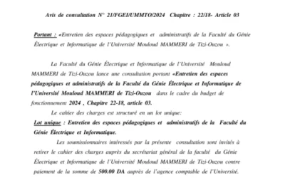 Avis de consultation N° 21/FGEI/UMMTO/2024