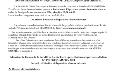 Avis de consultation N° 19/FGEI/UMMTO/2024