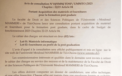 Avis de consultation N°10/SMM/FDSP/UMMTO/2023