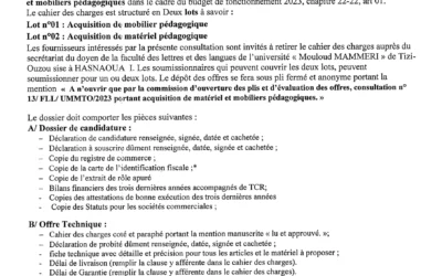 Avis de consultation N° 13/Fll/UMMTO /2023