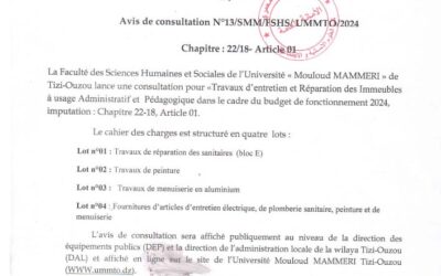 Avis de consultation n°13/FSHS/UMMTO/2024