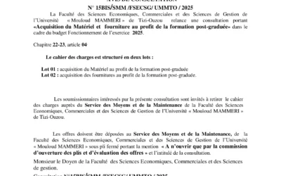 AVIS DE CONSULTATION N° 15BIS/SMM /FSECSG/ UMMTO / 2025