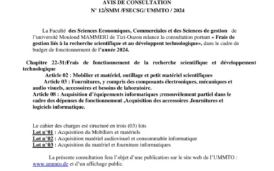 Avis de consultation N° 12/SMM/FSECSG/UMMTO/2024
