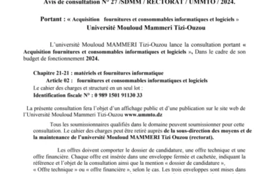Avis de consultation N° 27 SDMM/RECTORAT/UMMTO/2024